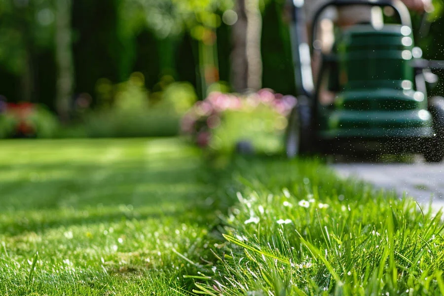 best cordless mower